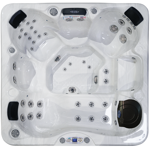 Avalon EC-849L Hot Tub