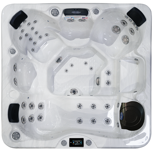 Avalon-X EC-849LX Hot Tub