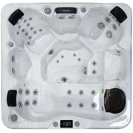 Avalon-X EC-849LX Hot Tub