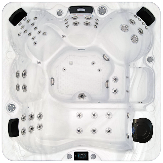 Avalon-X EC-867LX Hot Tub